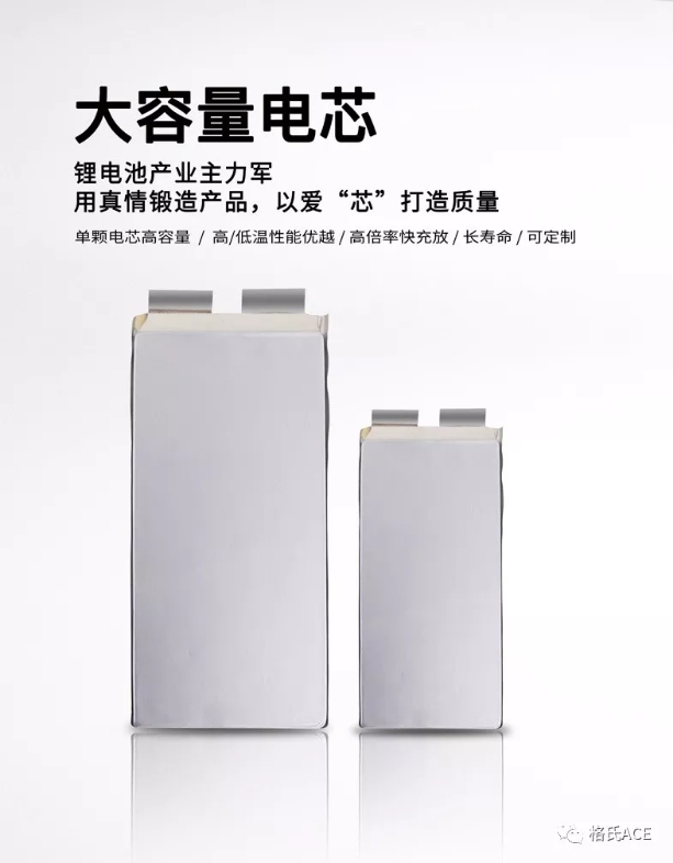 固體聚合物電解質鋰離子電池